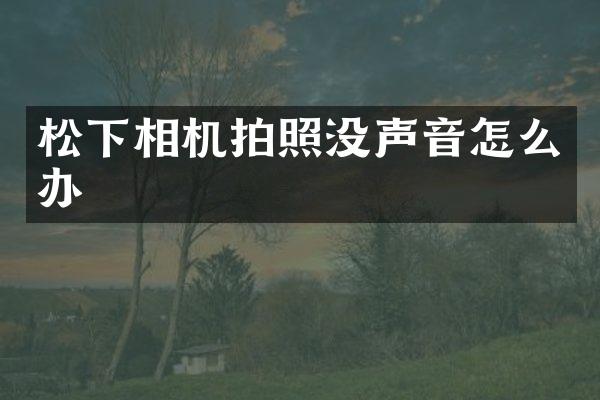 相机拍照没声音怎么办