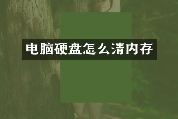 电脑硬盘怎么清内存