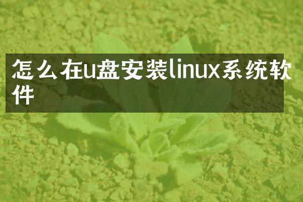 怎么在u盘安装linux系统软件