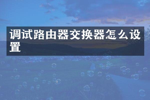 调试路由器交换器怎么设置
