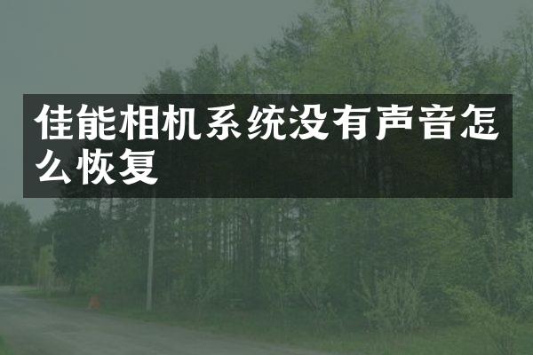 佳能相机系统没有声音怎么恢复