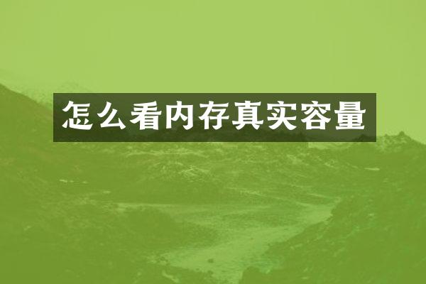 怎么看内存真实容量