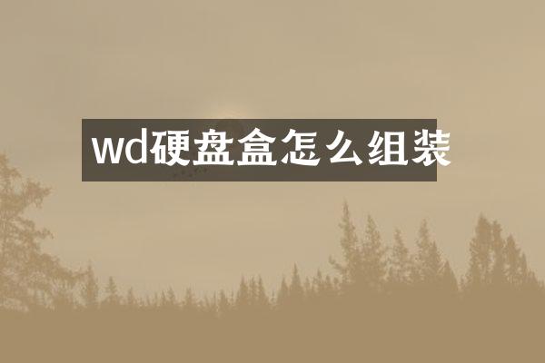 wd硬盘盒怎么组装
