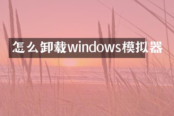怎么卸载windows模拟器