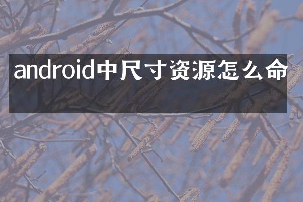 android中尺寸资源怎么命名