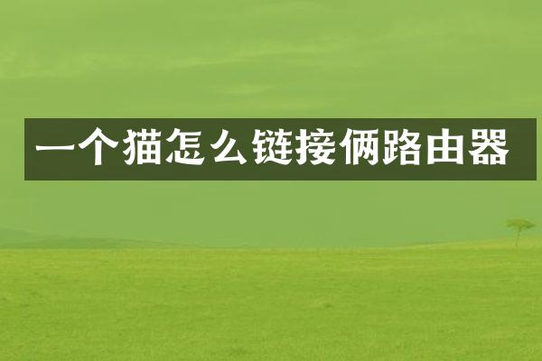 一个猫怎么链接俩路由器