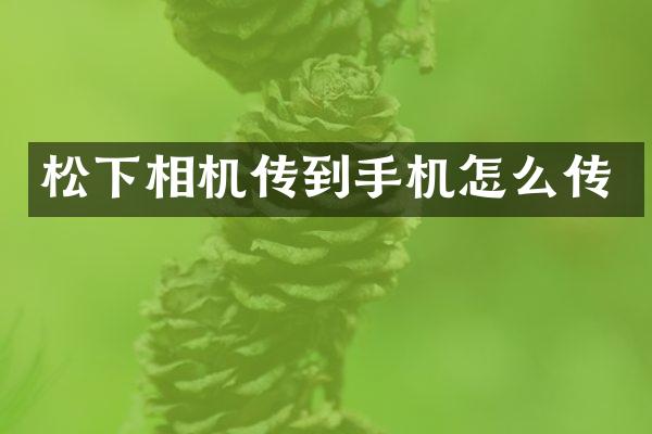 相机传到手机怎么传