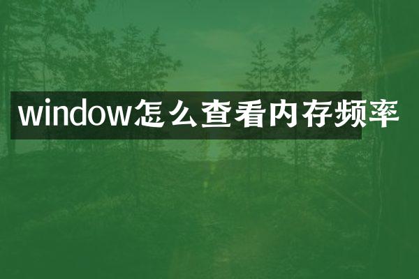 window怎么查看内存频率