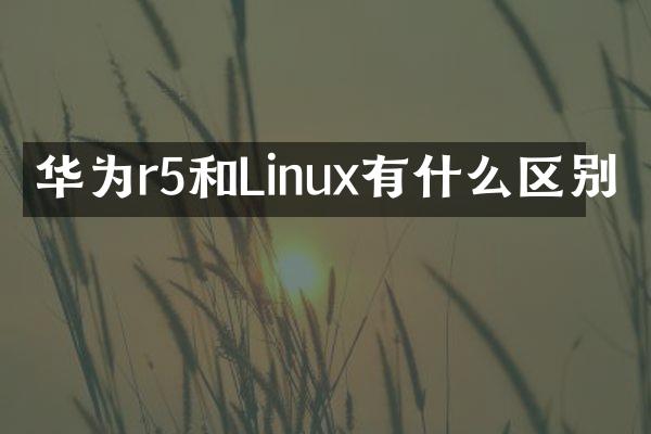 华为r5和Linux有什么区别