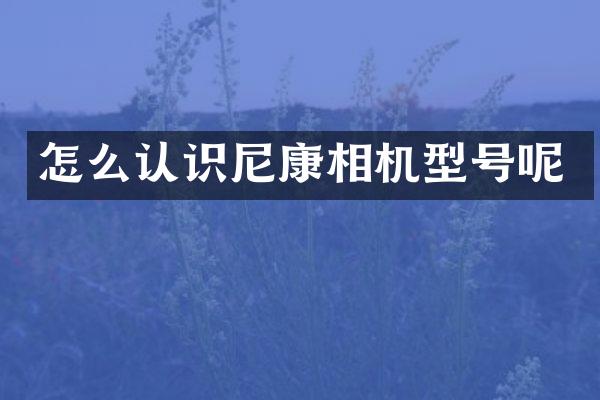 怎么认识尼康相机型号呢