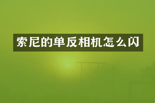 的单反相机怎么闪