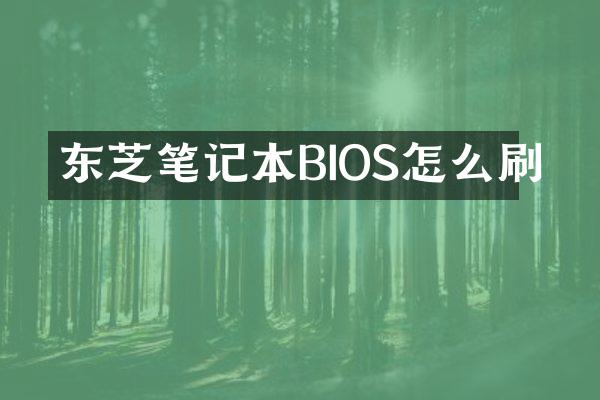 东芝笔记本BIOS怎么刷
