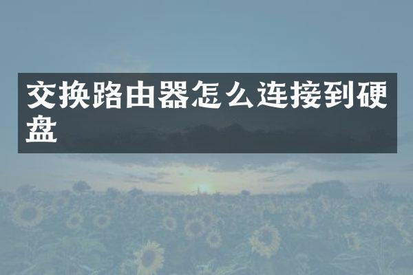 交换路由器怎么连接到硬盘