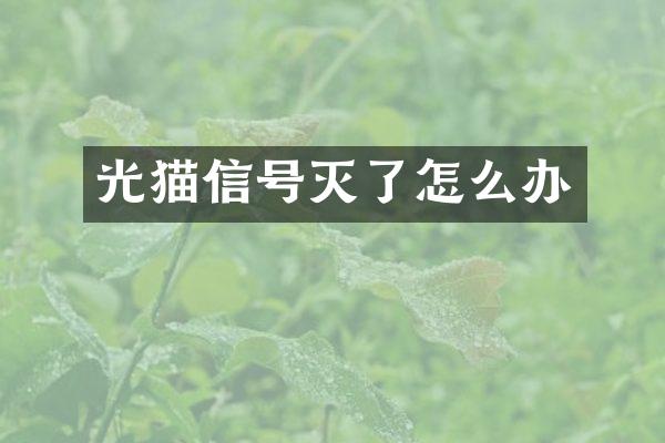 光猫信号灭了怎么办