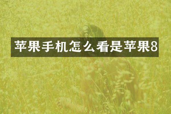 苹果手机怎么看是苹果8