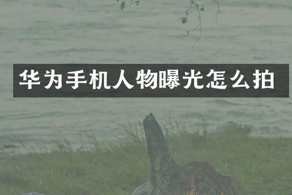 华为手机人物曝光怎么拍