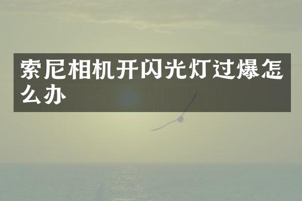 相机开闪光灯过爆怎么办