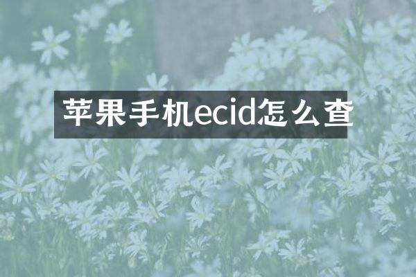 苹果手机ecid怎么查