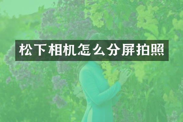 相机怎么分屏拍照
