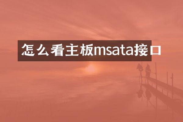 怎么看主板msata接口