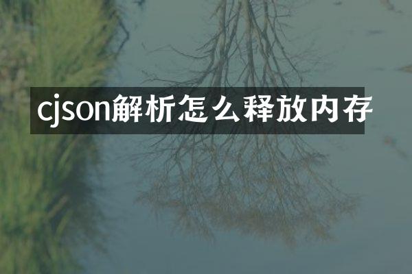 cjson解析怎么释放内存