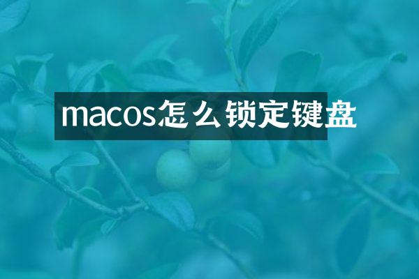 macos怎么锁定键盘