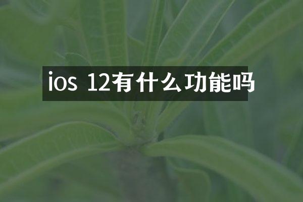ios 12有什么功能吗