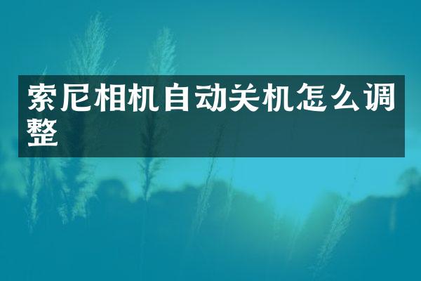 相机自动关机怎么调整