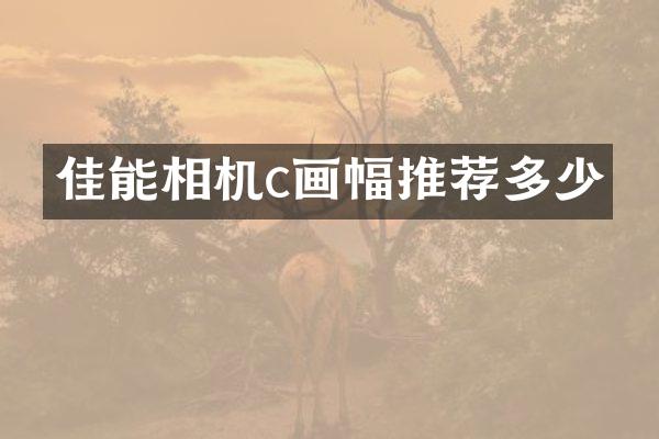 佳能相机c画幅推荐多少