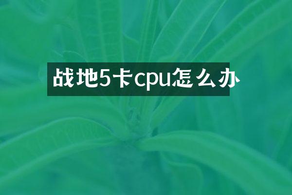 战地5卡cpu怎么办
