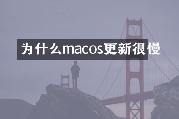 为什么macos更新很慢