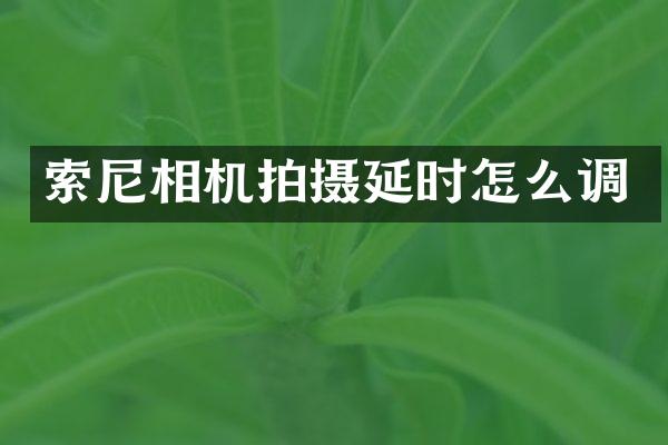 相机拍摄延时怎么调
