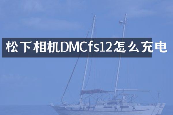 相机DMCfs12怎么充电