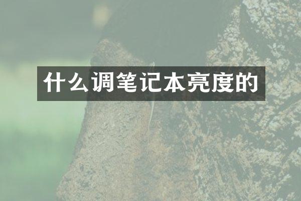 什么调笔记本亮度的