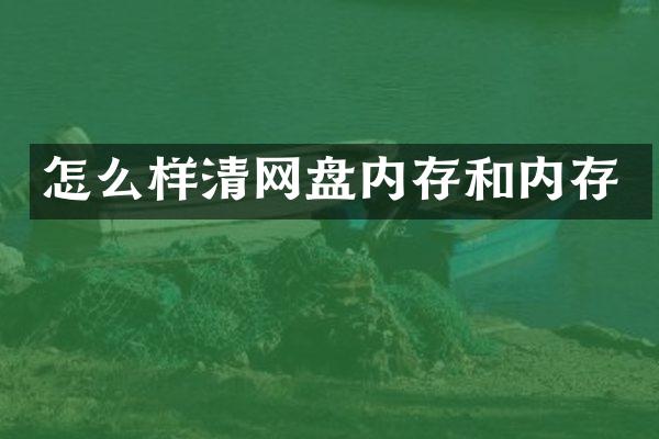 怎么样清网盘内存和内存