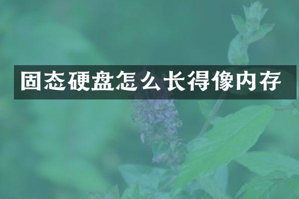 固态硬盘怎么长得像内存