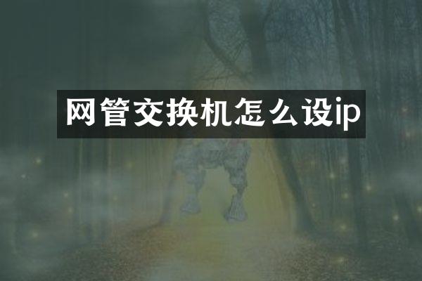网管交换机怎么设ip