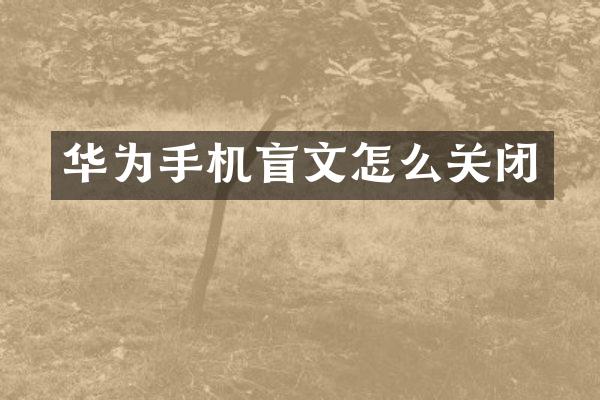 华为手机盲文怎么关闭
