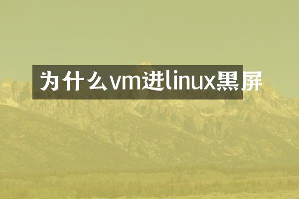 为什么vm进linux黑屏