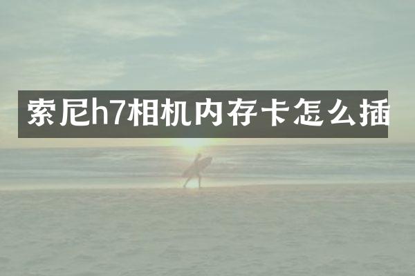 h7相机内存卡怎么插