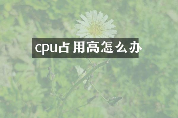 cpu占用高怎么办