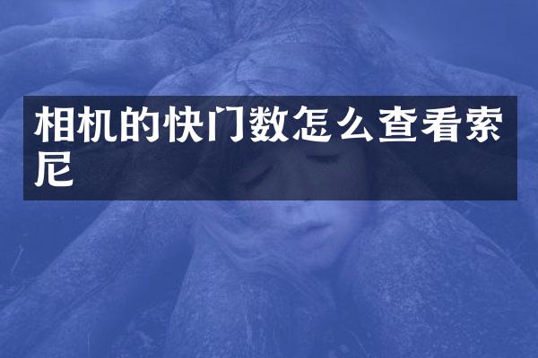 相机的快门数怎么查看