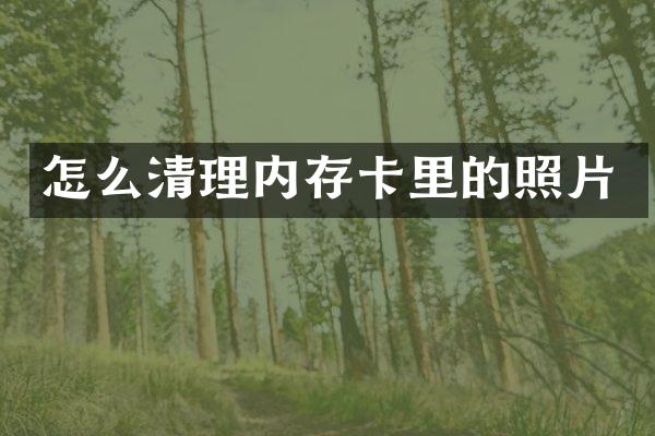 怎么清理内存卡里的照片