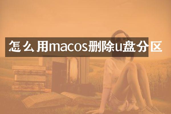 怎么用macos删除u盘分区