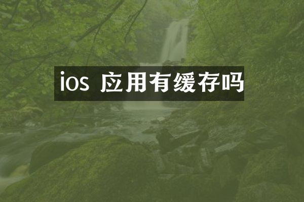 ios 应用有缓存吗