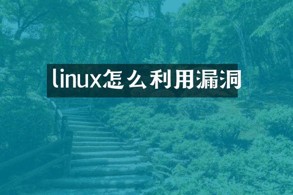 linux怎么利用漏洞