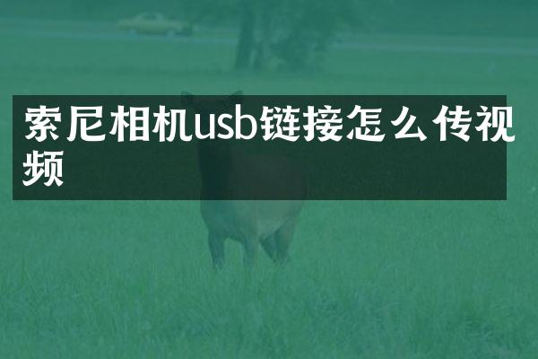 相机usb链接怎么传视频