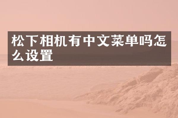 相机有中文菜单吗怎么设置