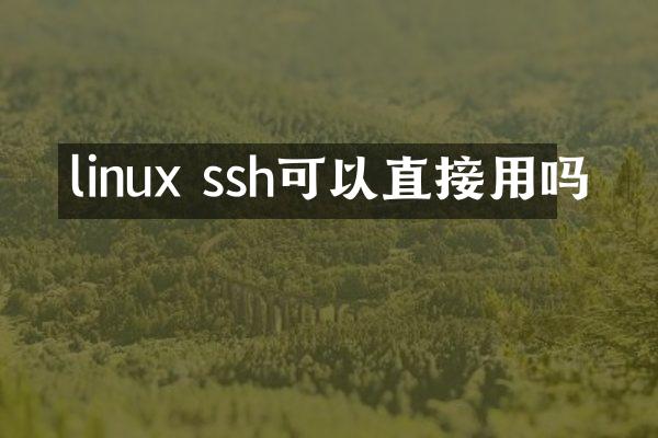 linux ssh可以直接用吗