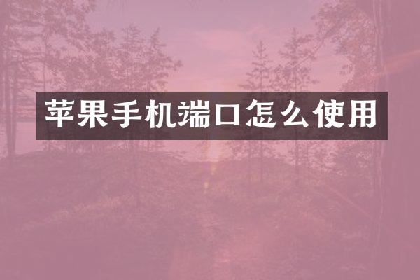 苹果手机端口怎么使用